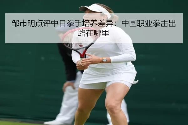 邹市明点评中日拳手培养差异：中国职业拳击出路在哪里